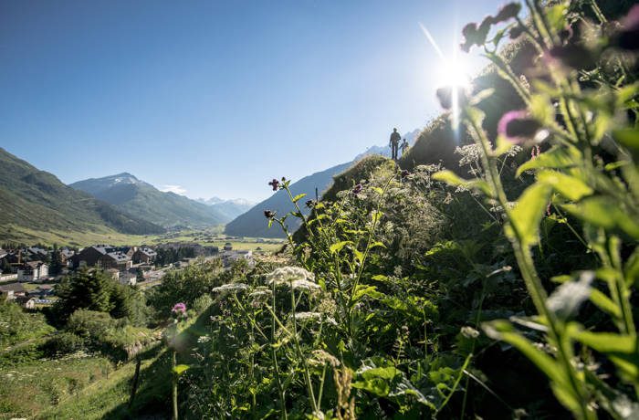 summer in the alps