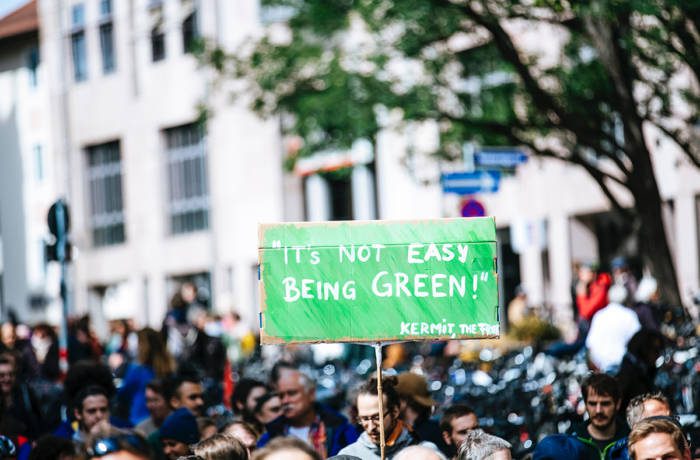 protestors for climate change