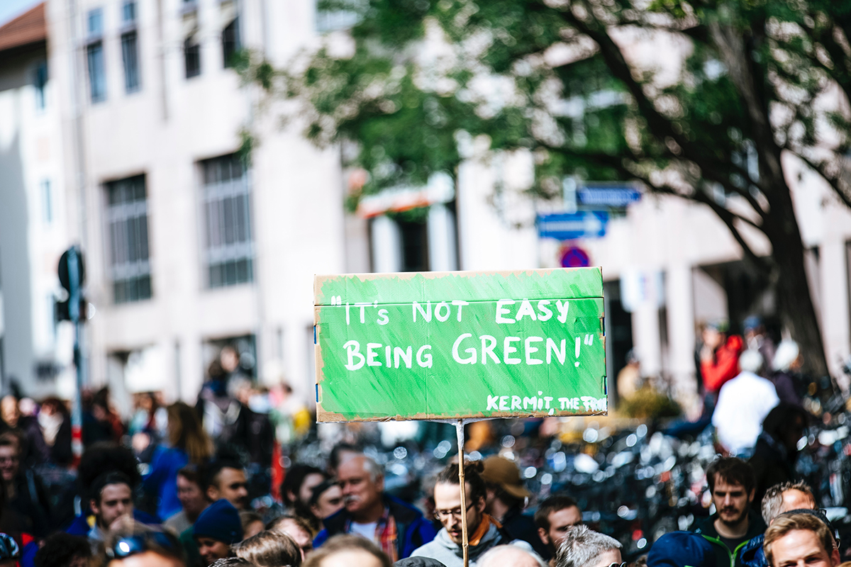 protestors for climate change