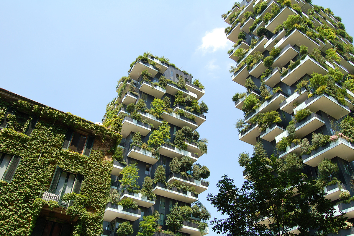 housing with plants growing down facade