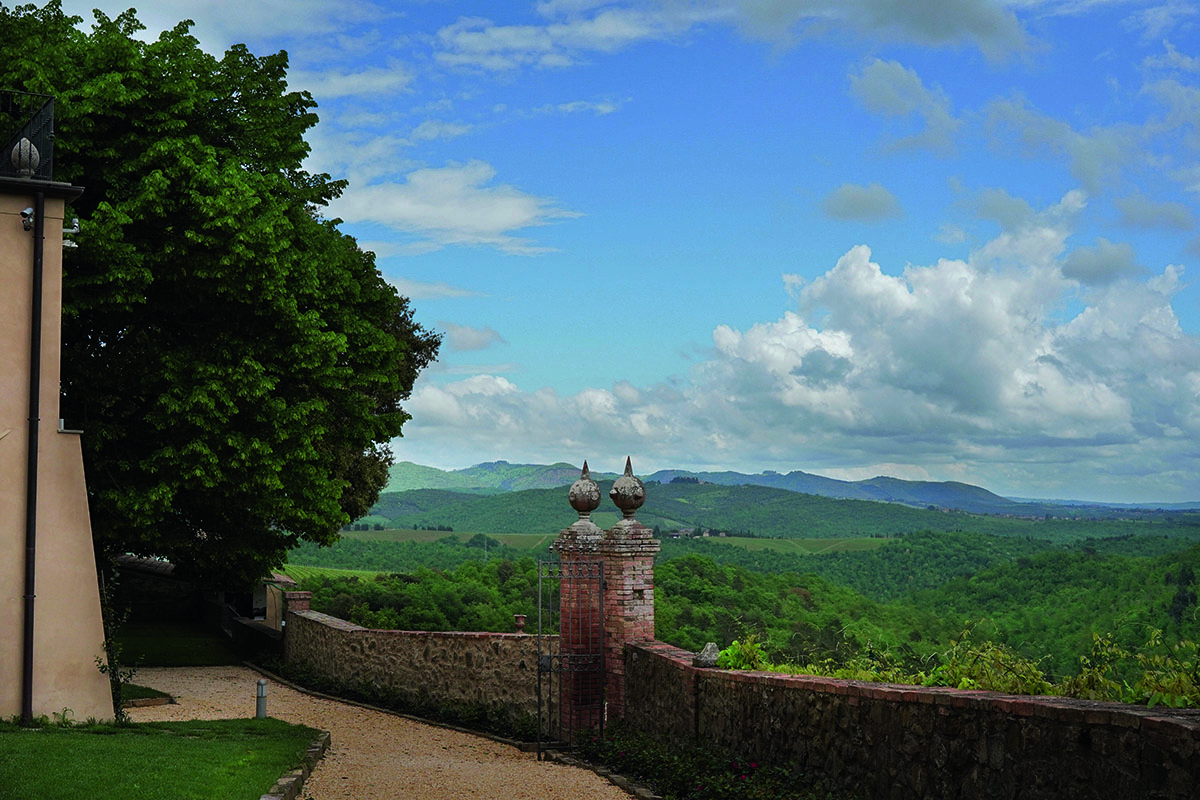 views of vineyards and hills