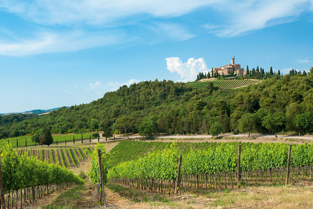 hilltop hotel in vineyards