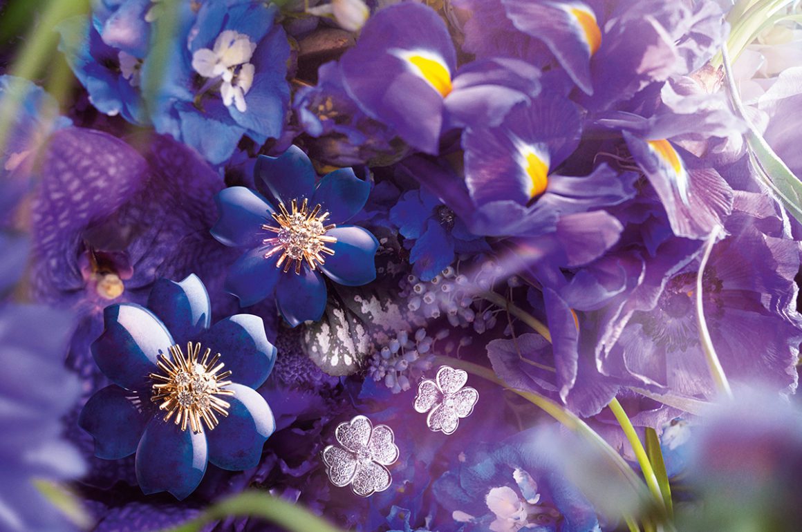 jewels hidden in flowers