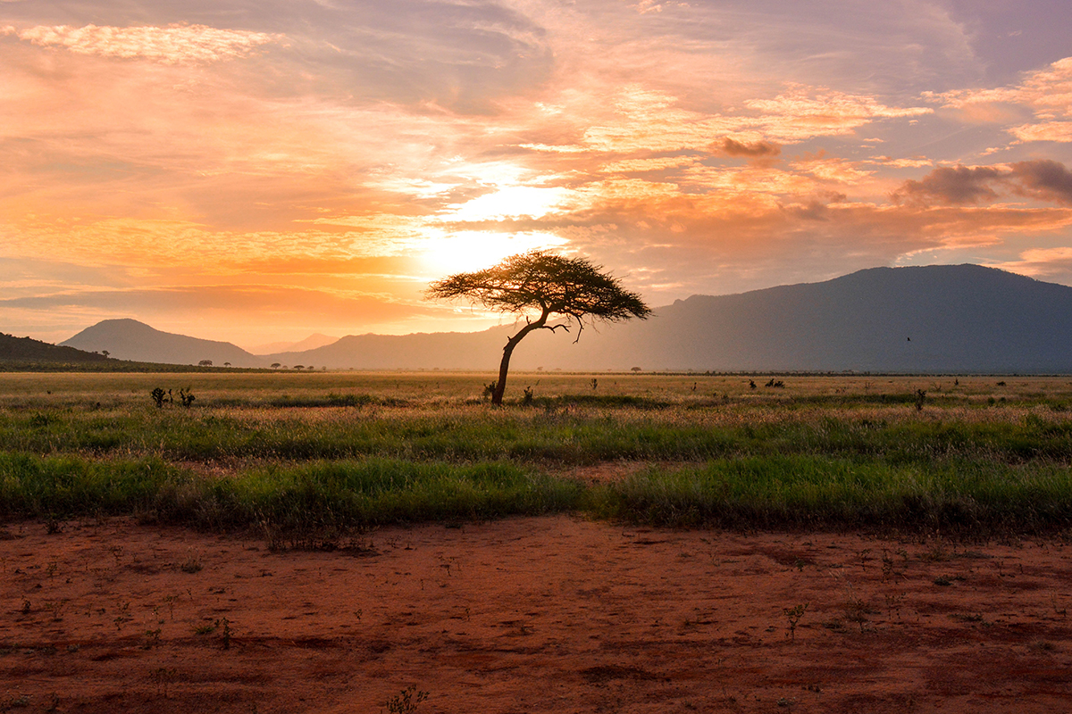 sunset in kenya