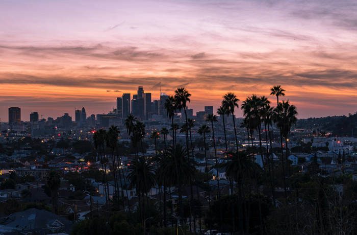 palm trees and city skyline