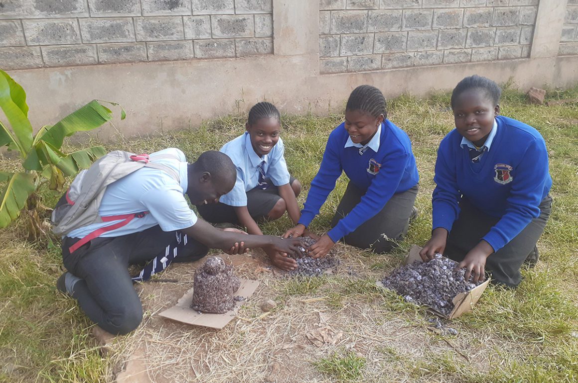 school children playing on the ground
