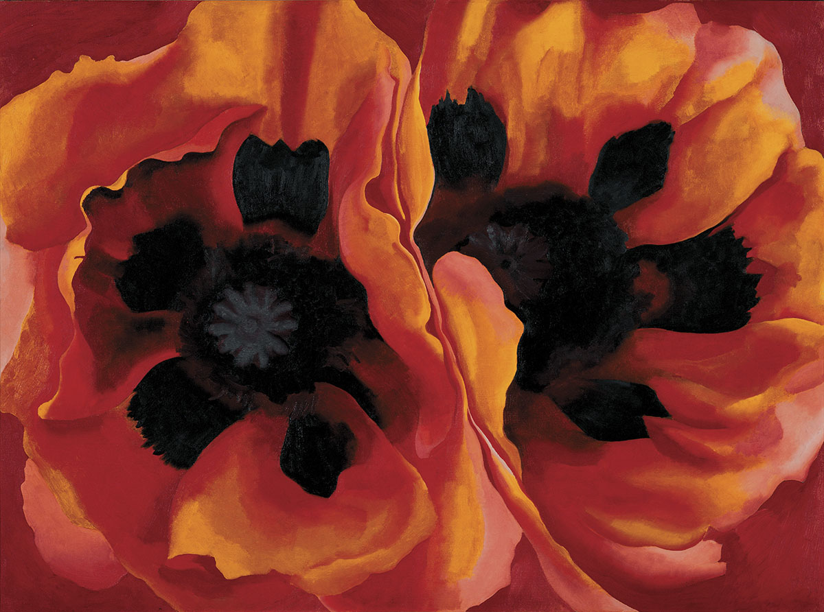 a painting of a red black and orange poppy