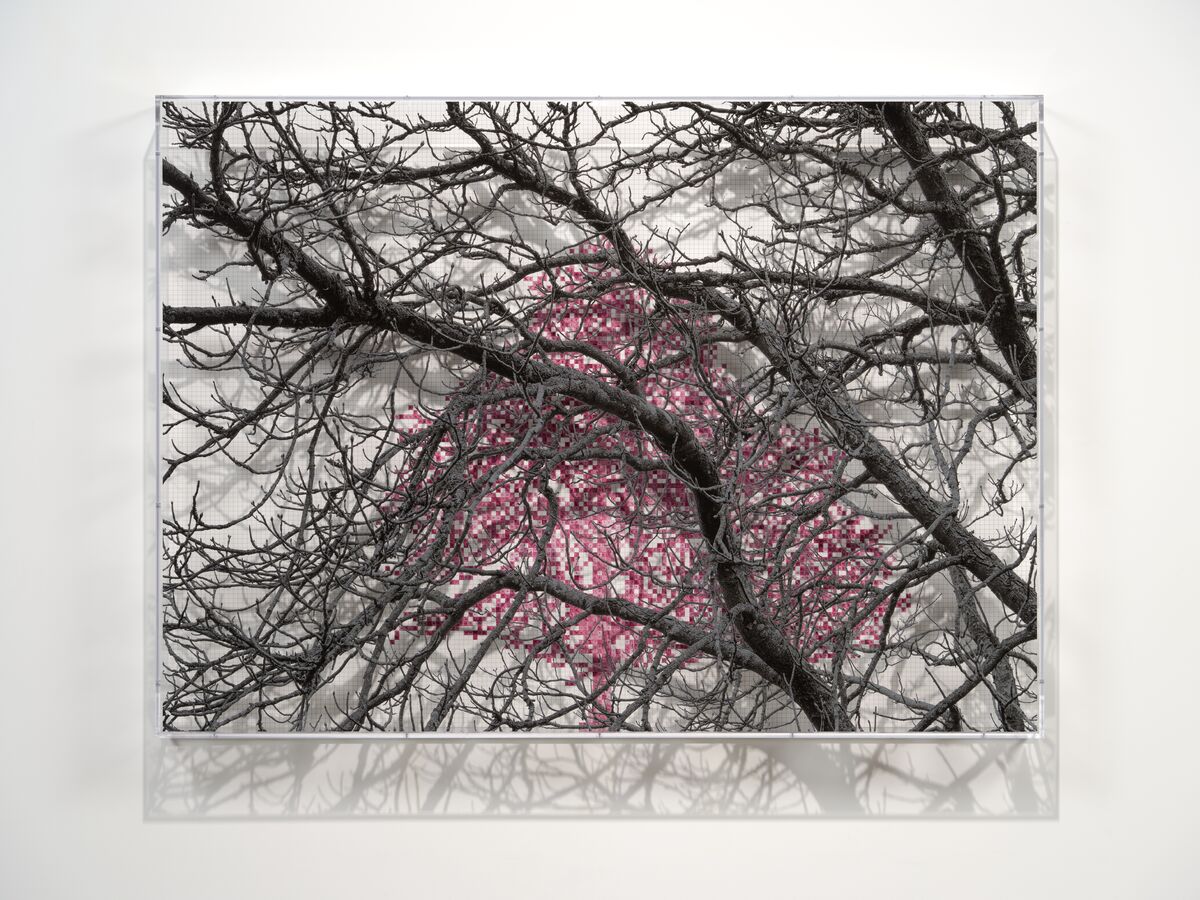 A picture of a tree with branches and pink blocks put together with numbers on them 