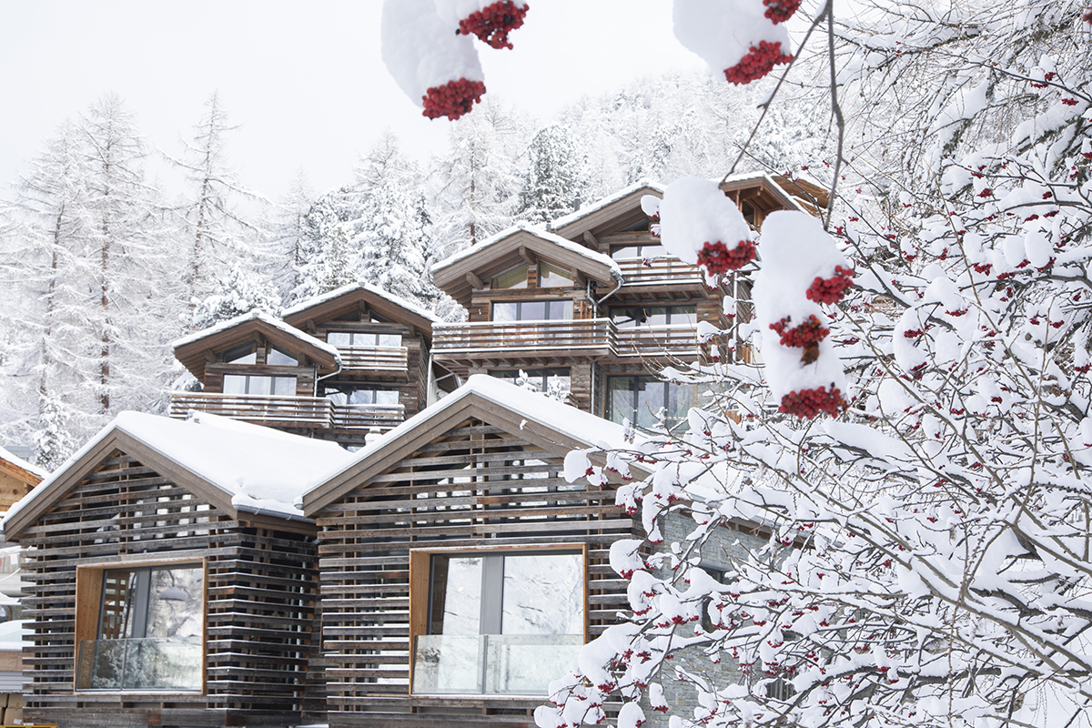 Chalets covered in snow with red flowers