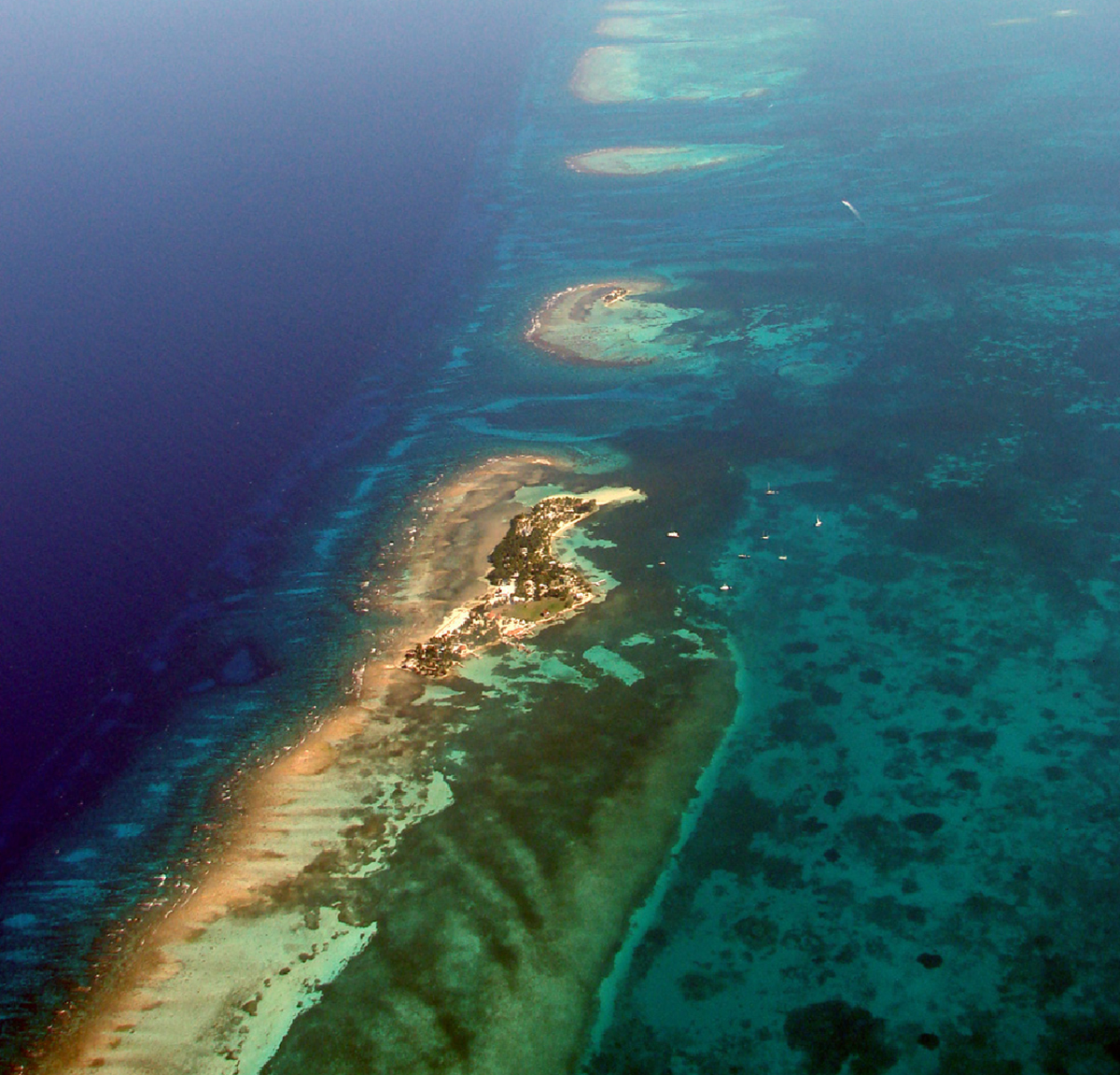turquoise reefs in the sea