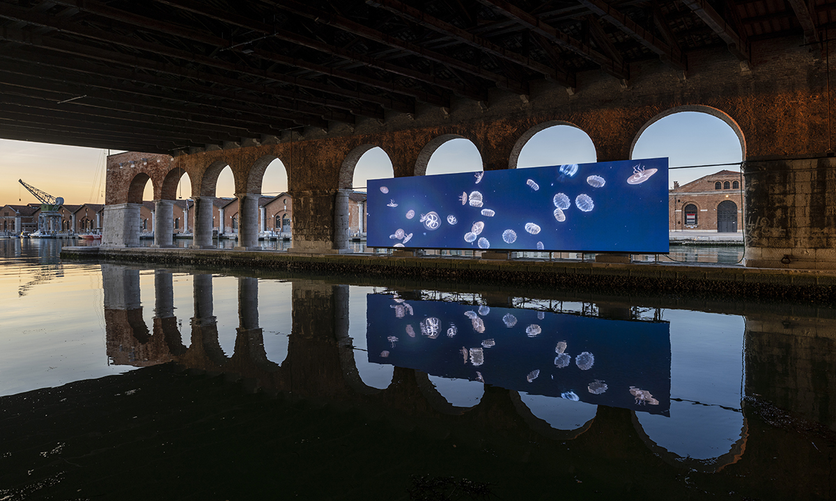 A screen on the river underneath arches and the reflection in the water of jellyfish