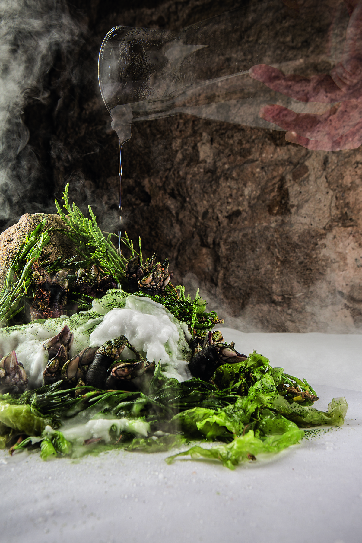 a green salad that looks like a stone and grass