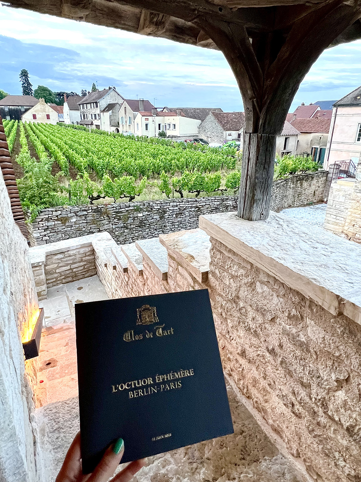 a brochure and a vineyard in the background