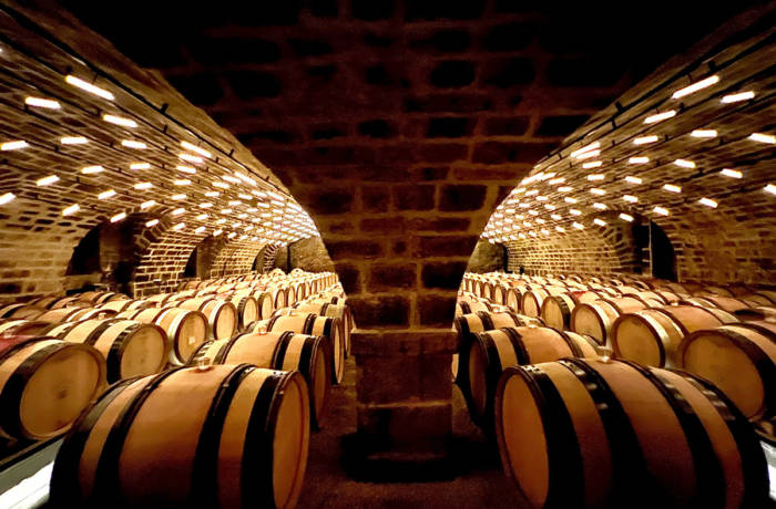 wooden barrels in a brick cellar with yellow lights