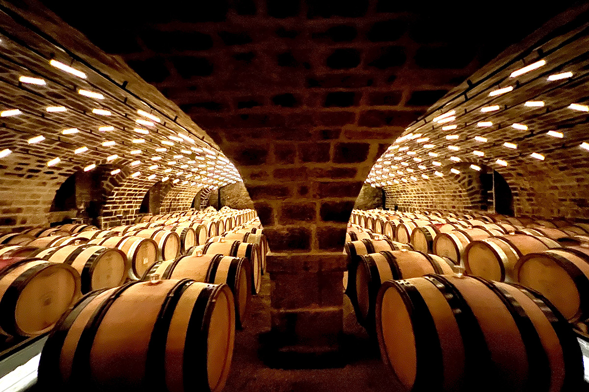 wooden barrels in a brick cellar with yellow lights 
