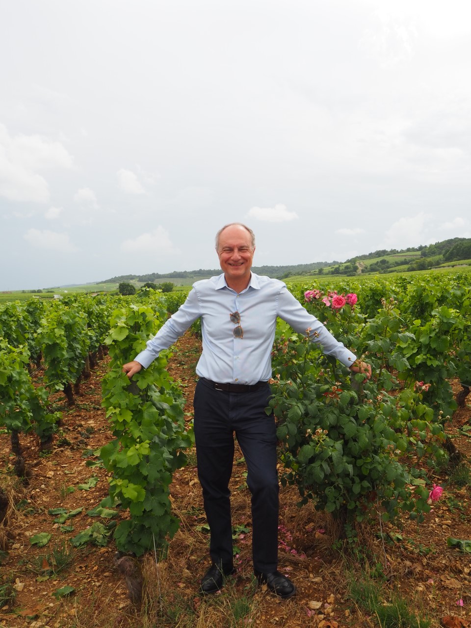 A man standing in a vineyard
