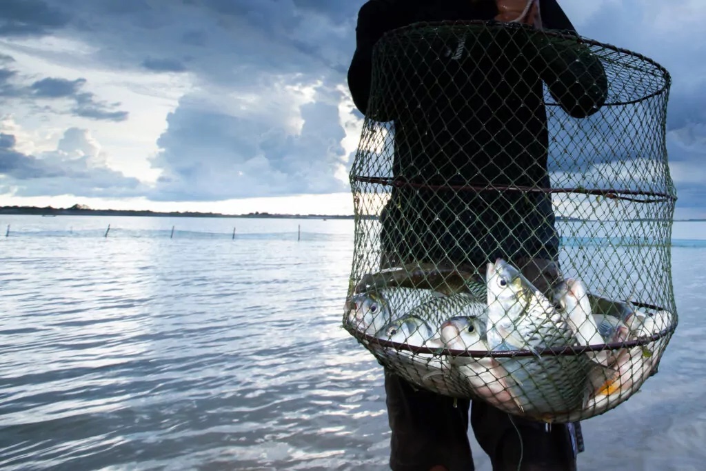 A man holding fish in a net by a lake