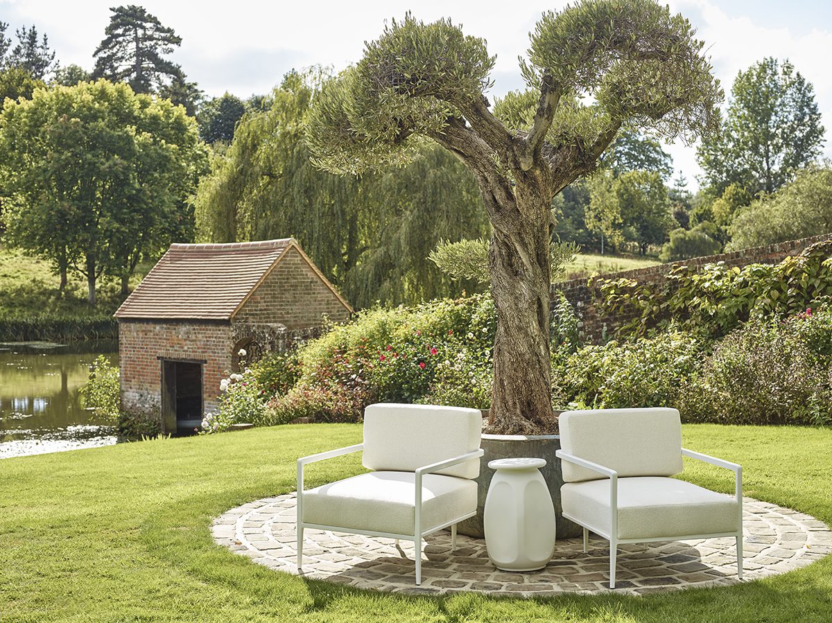 white chairs in front of an olive tree and a hut on the grass