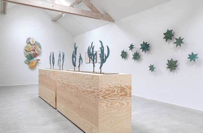 Art works that look like plants in a gallery