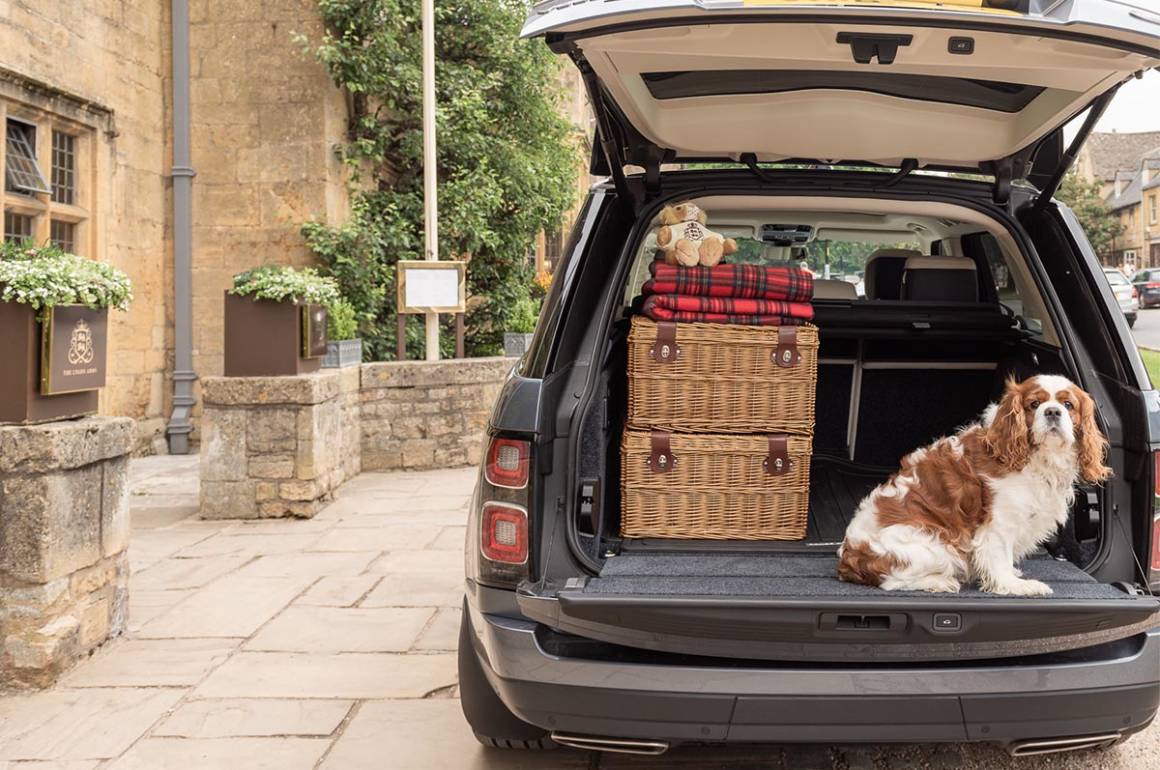A dog and picnic hampers and blankets in the boot of a car