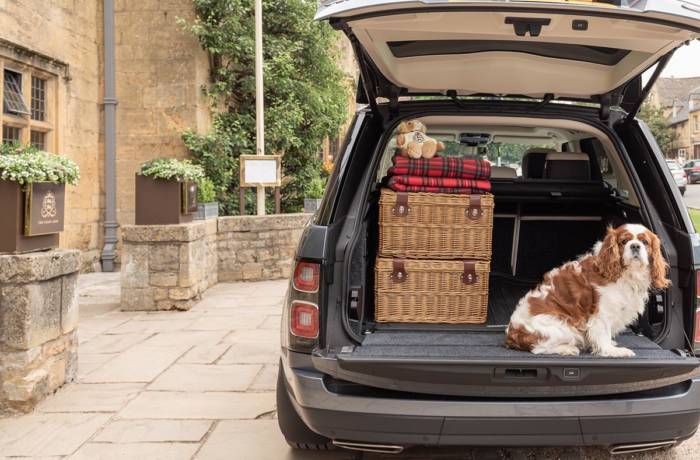 A dog and picnic hampers and blankets in the boot of a car