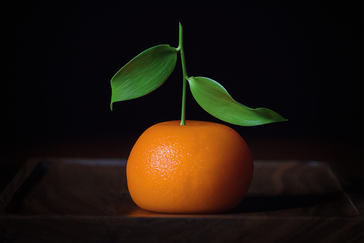 An orange on a brown plate