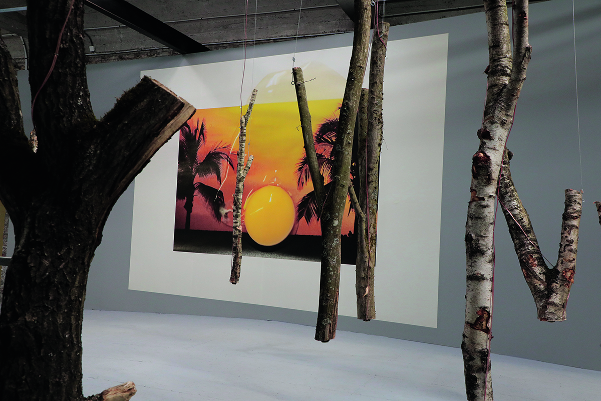 An exhibition with tree barks and a painting of a sunset on the wall