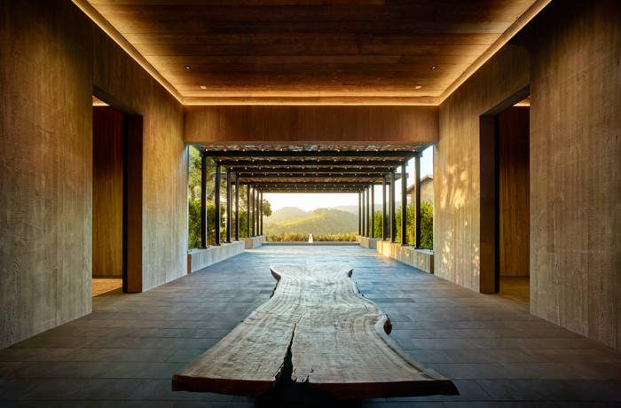 A corridor with a wooden plank leading to a view of vineyards