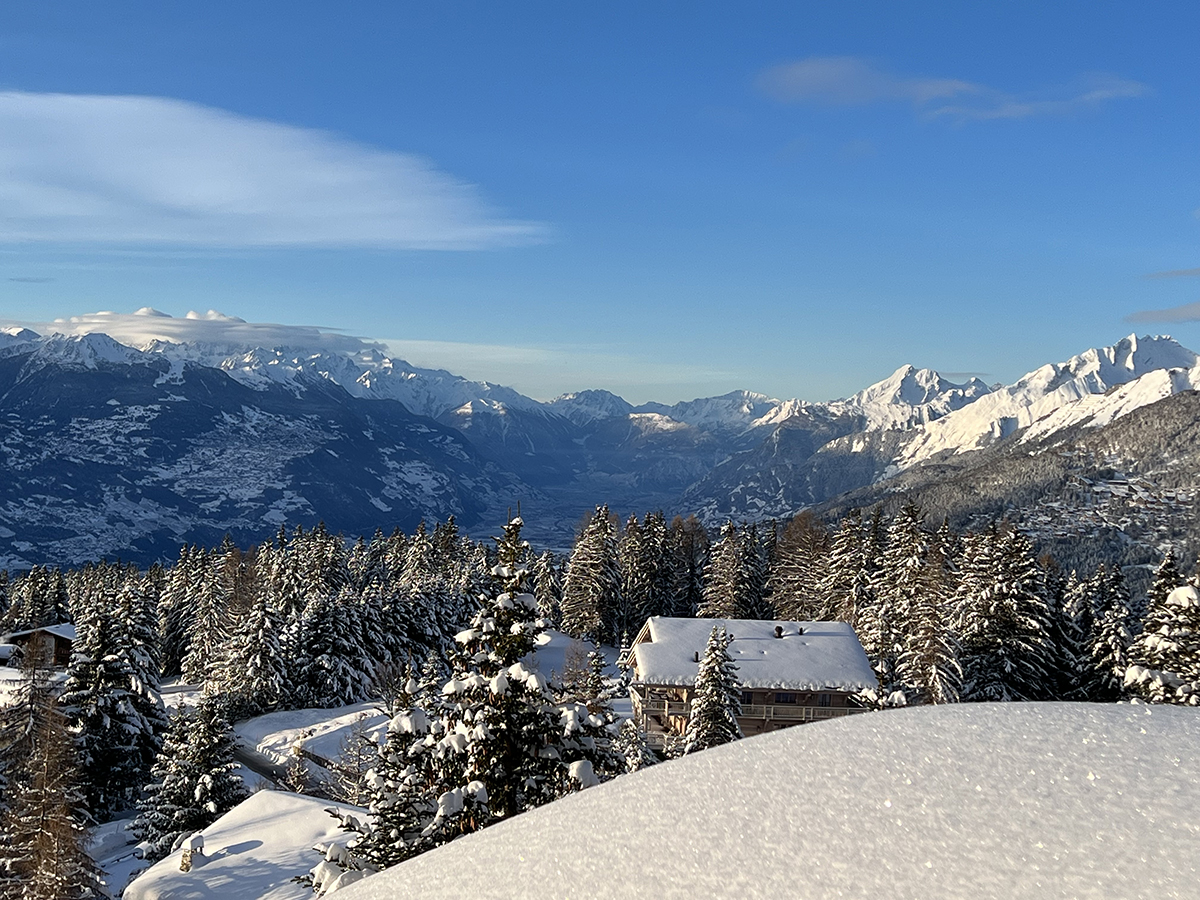 a photo of mountains and trees covered in snow