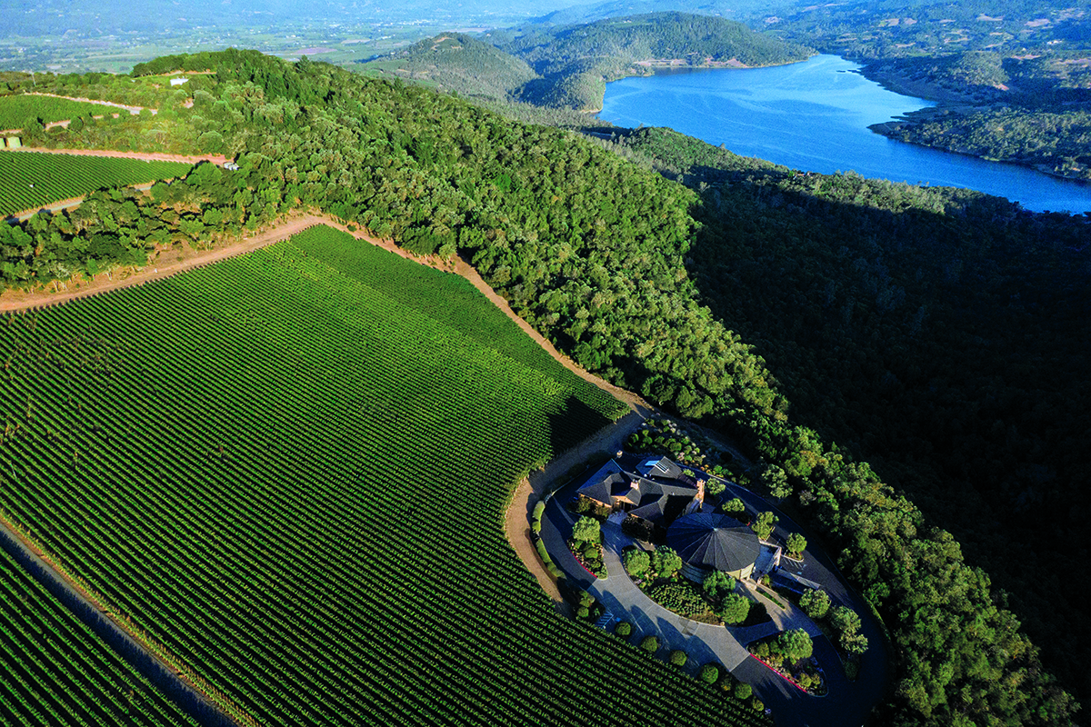 a birds eye view of a vineyard and a lake in the distance