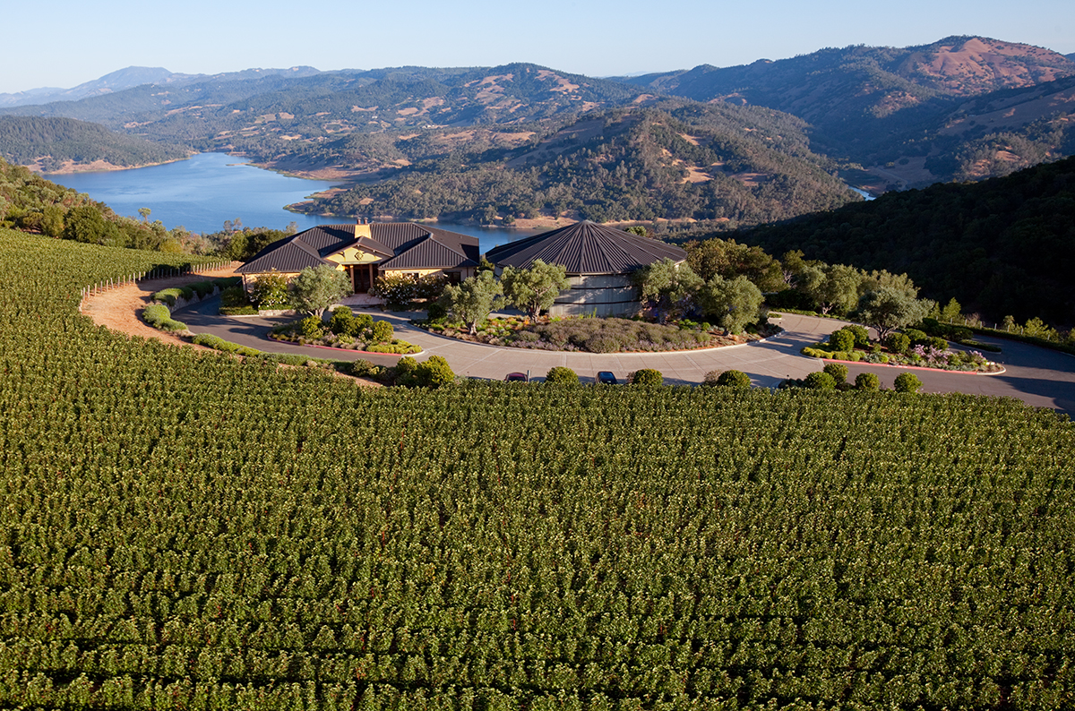 vineyards and a lake with mountains in the distance