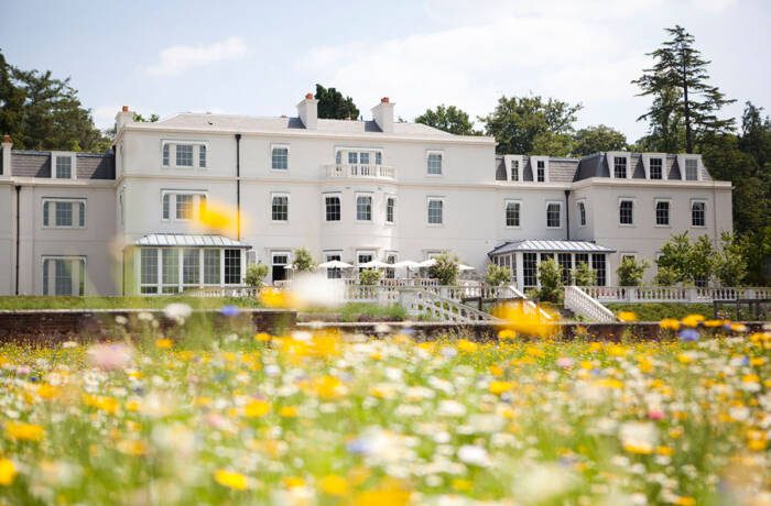 A white house white house with daffodils around it