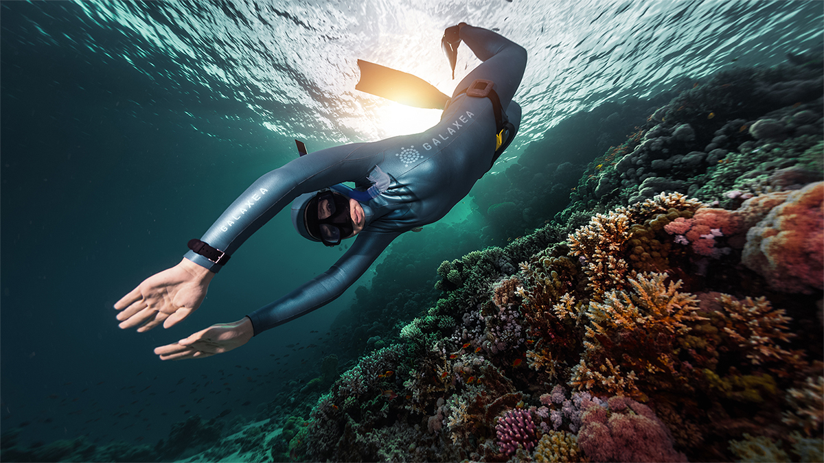 A person swimming in a wetsuit under the water surrounded by coral