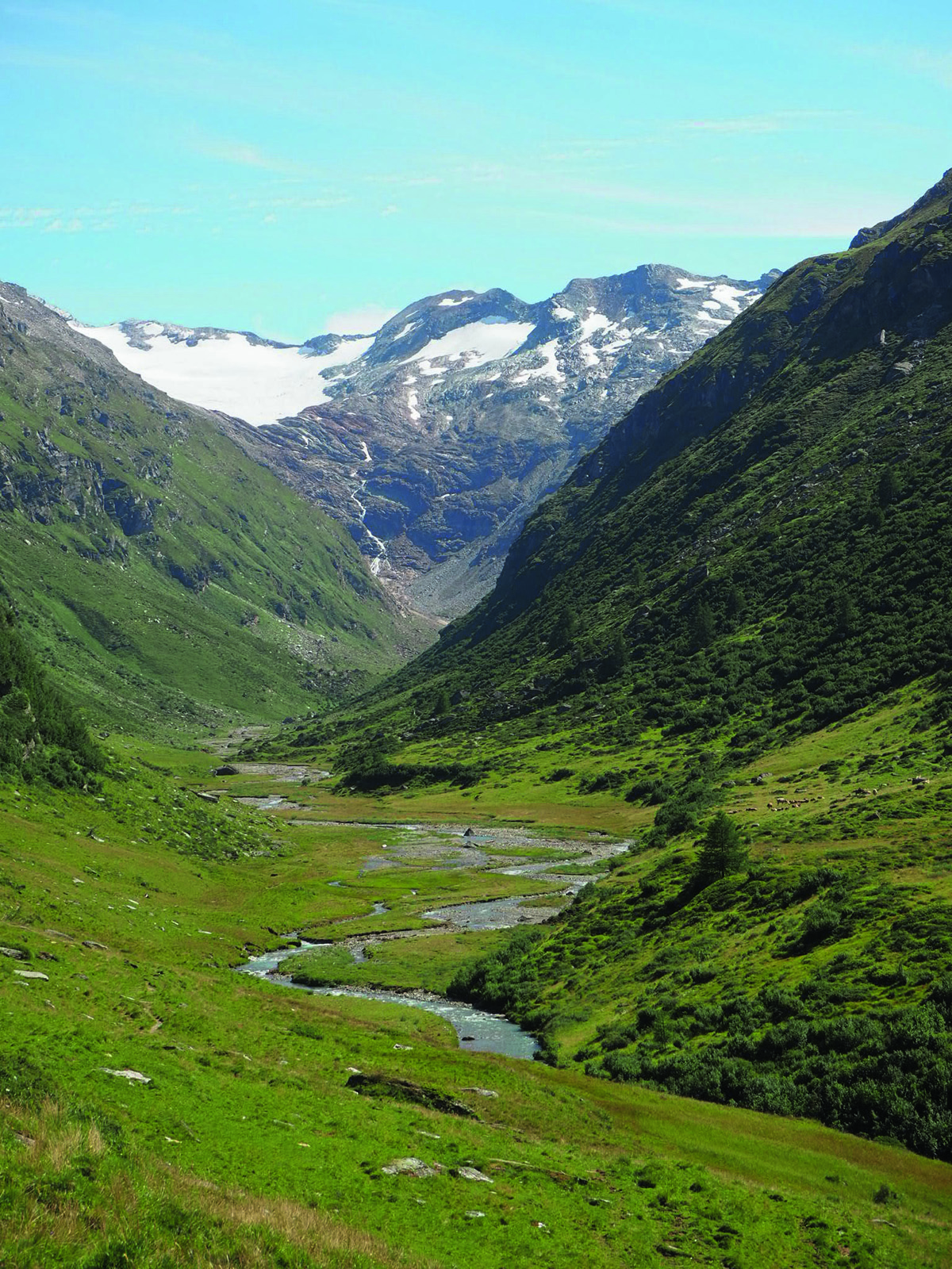 A river in a valley between green covered mountatins