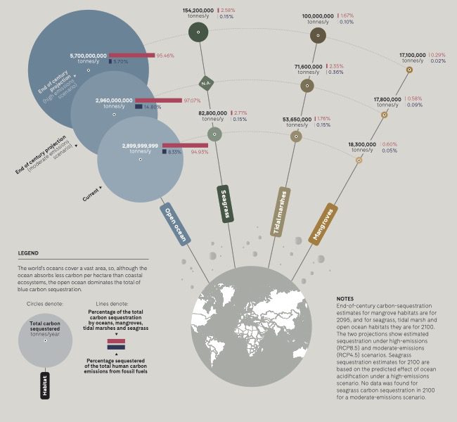 an infographic 