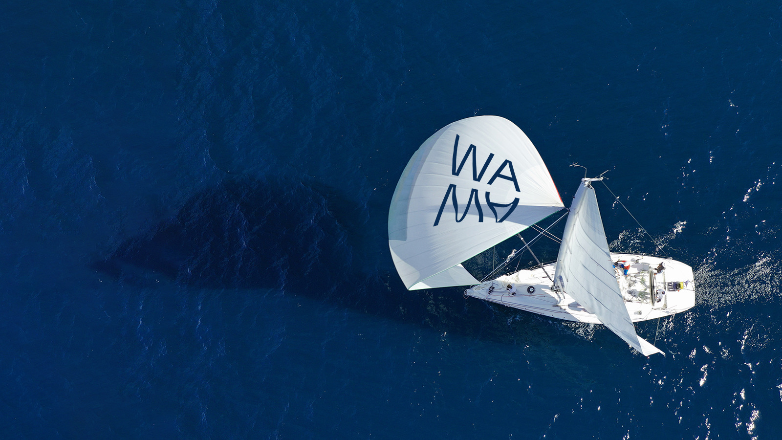 A sail boat in the sea