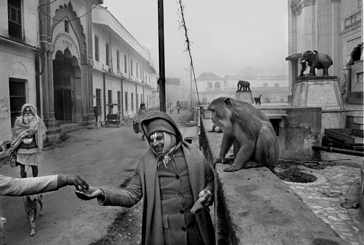 A man standing next to a monkey which is sitting on a wall in the street
