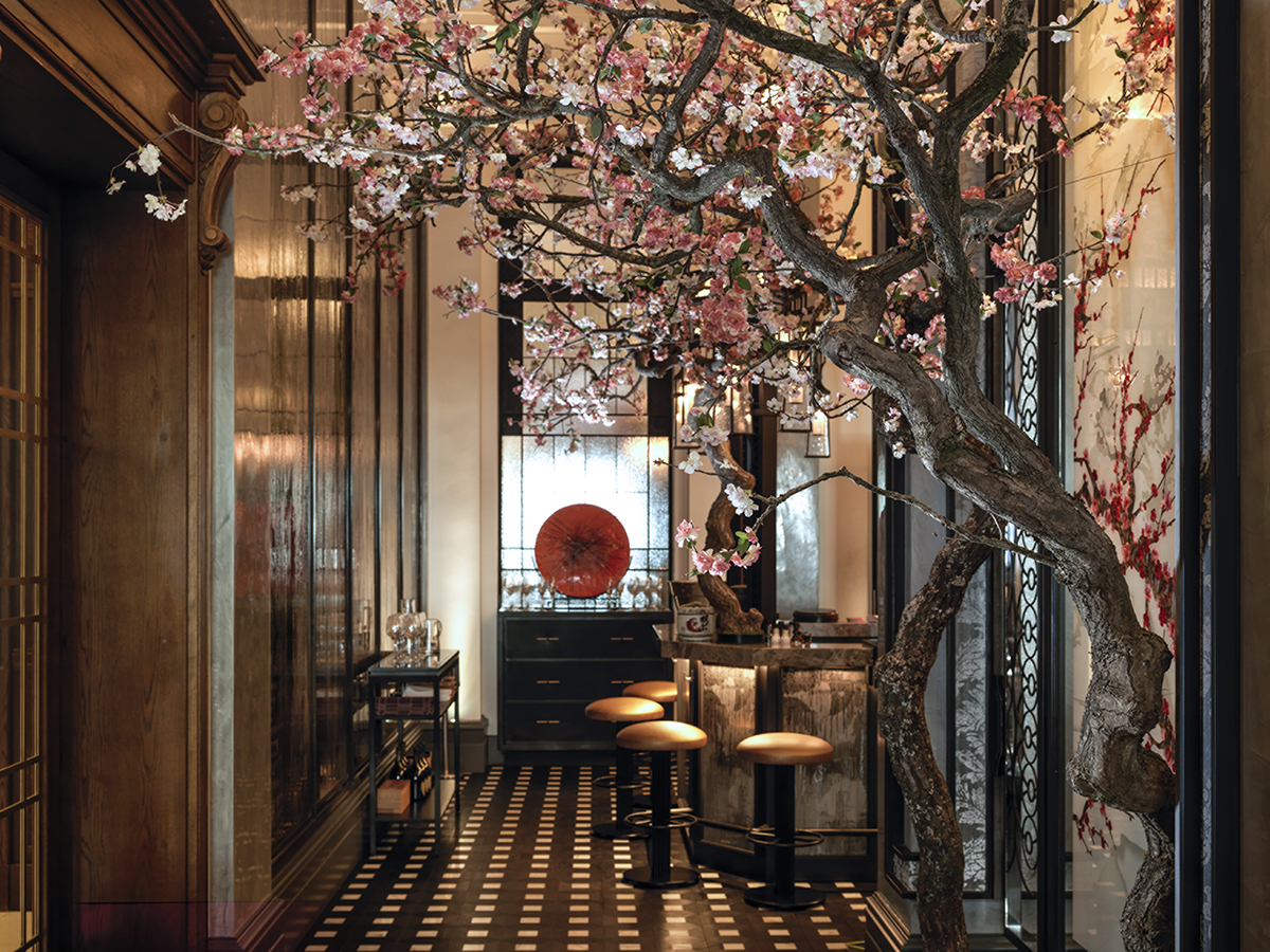 A bar walkway with a blossom tree