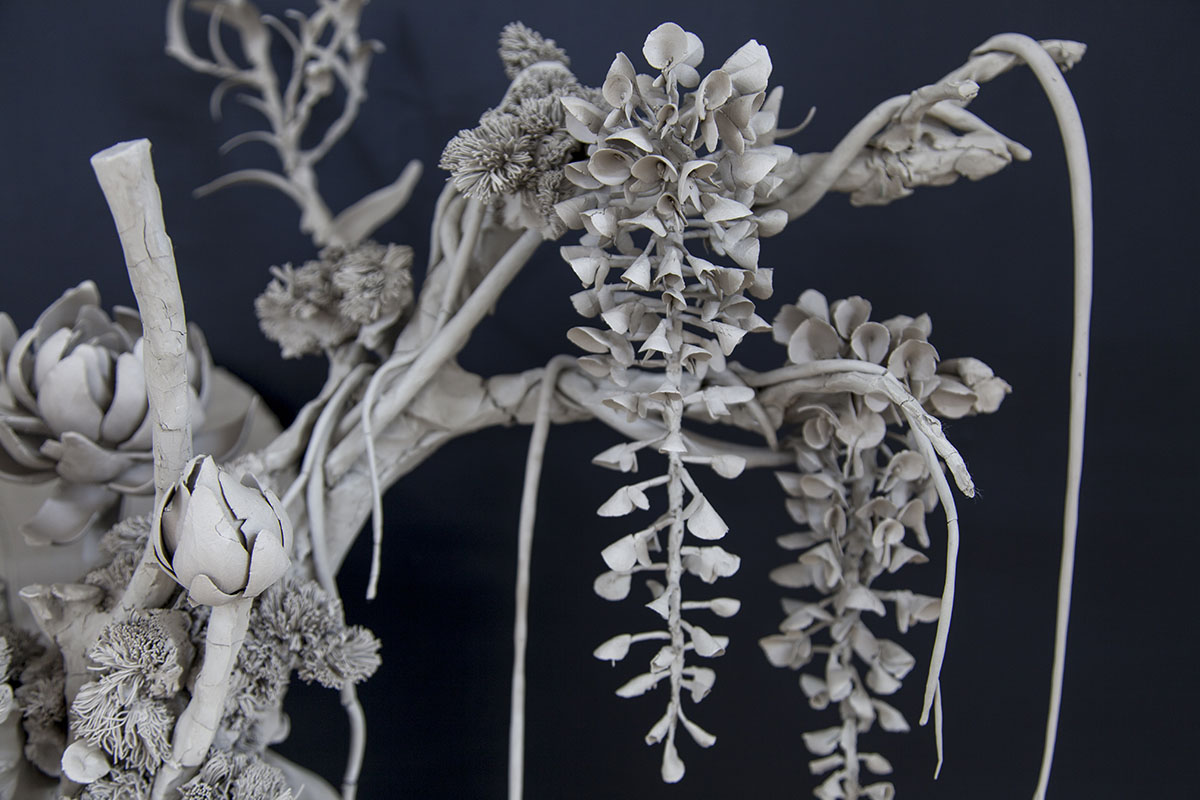 A picture of white flowers hanging from a branch