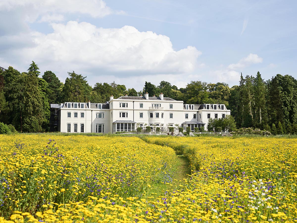 A large white house with a field of yellow flowers in front of it 