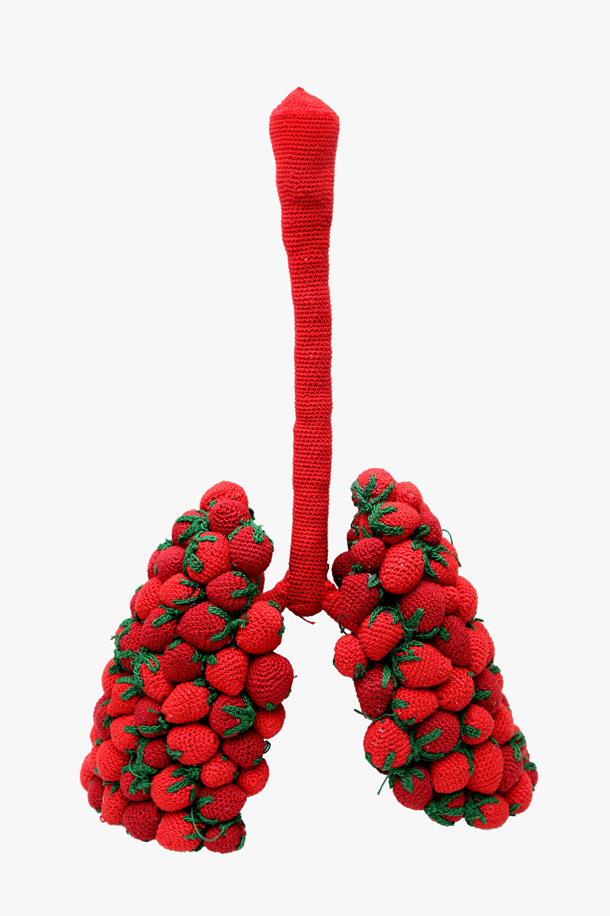lungs made out of strawberries
