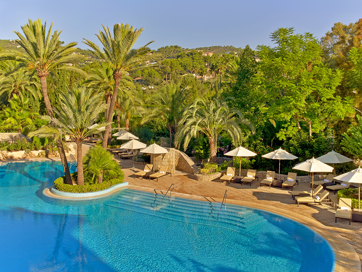 A swimming pool surrounded by palm trees