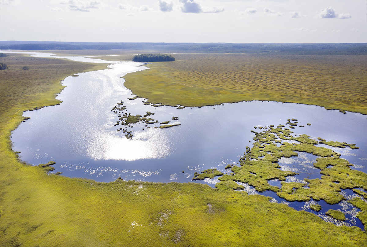 A river with marshes around it