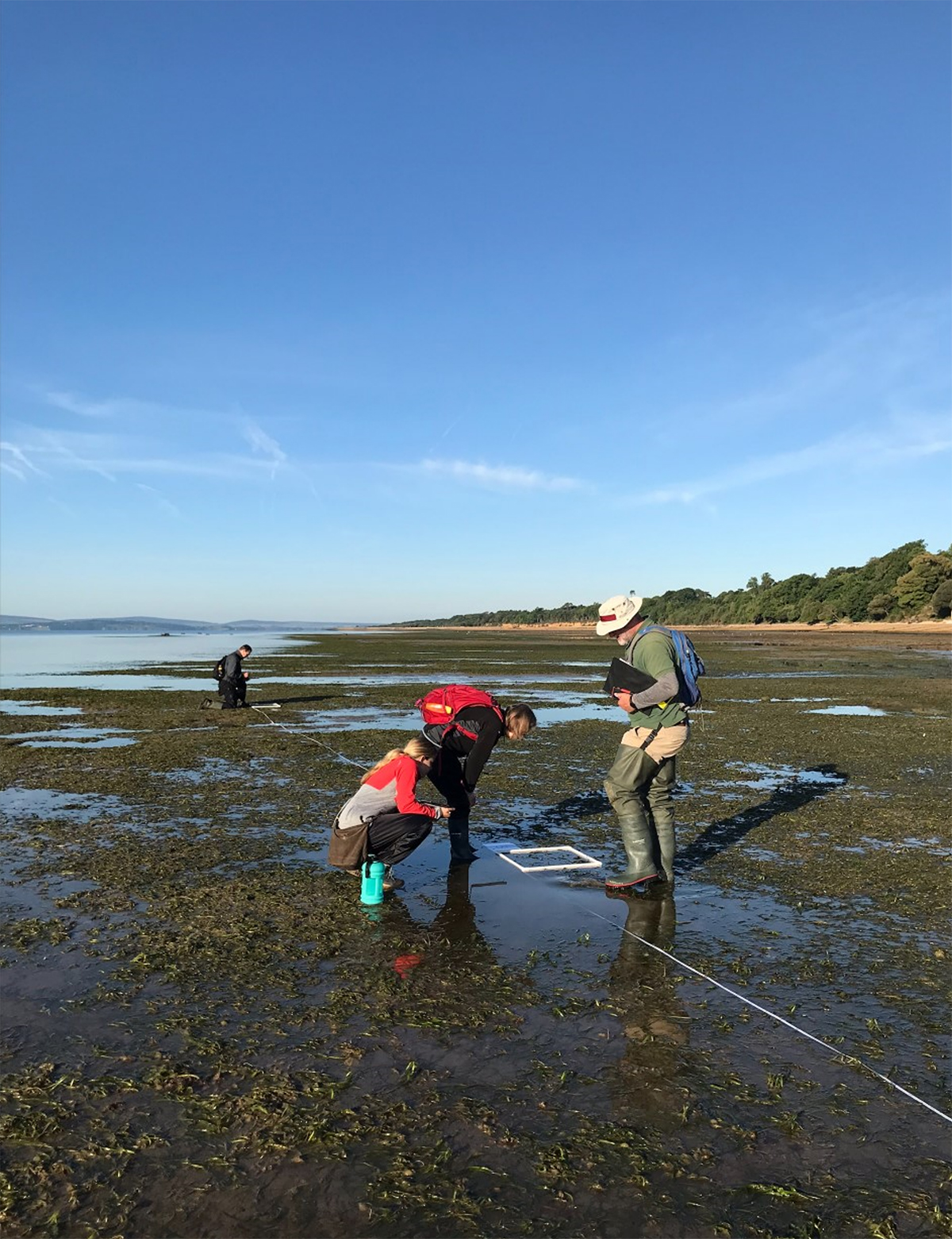 People walking on marshes collecting parts