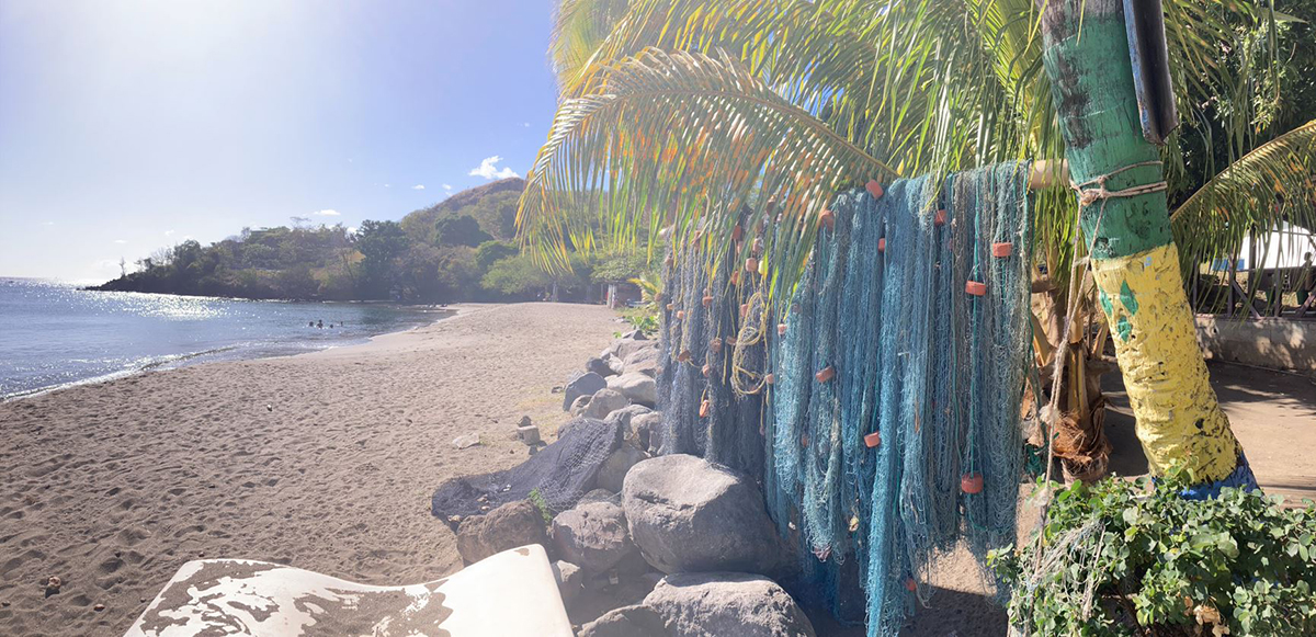 fishing nets hanging on a tree on a beach