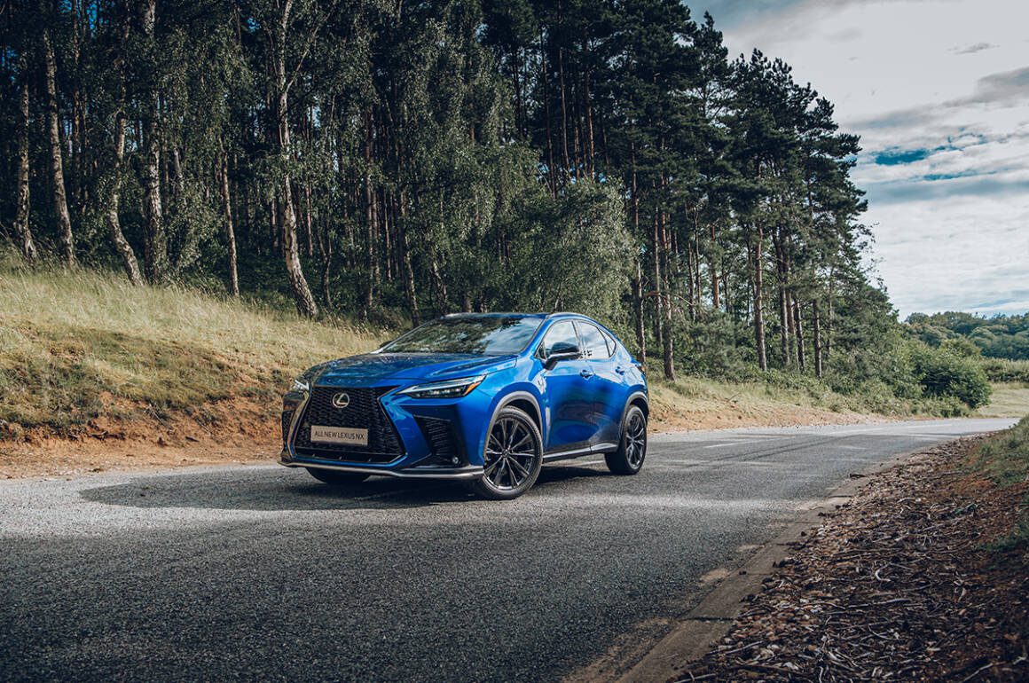 A blue car on a road by some trees