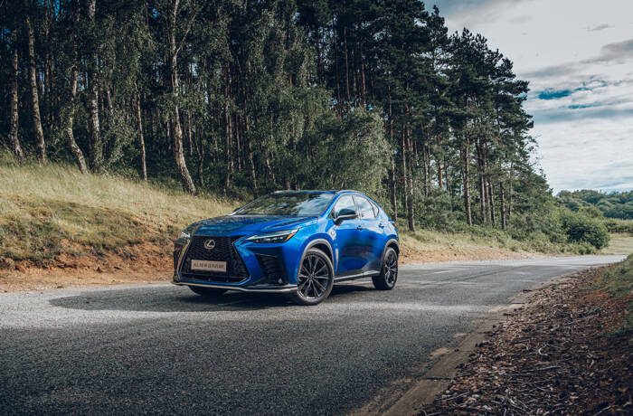 A blue car on a road by some trees