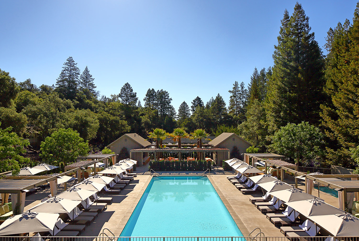 A swimming pool surrounded by trees and sunbeds