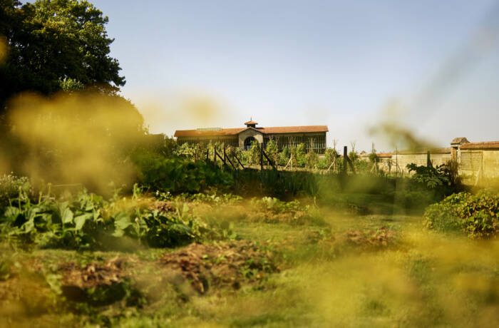 A house in a green field