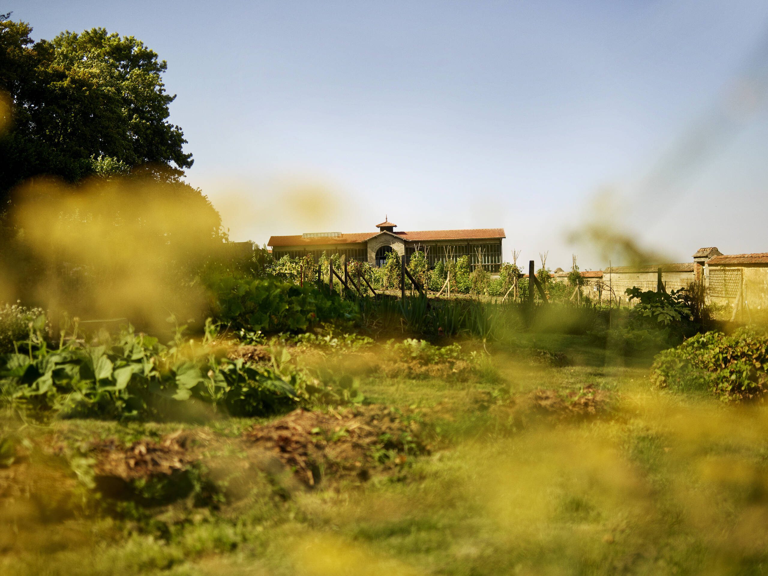 Entering Veuve Clicquot’s Garden Gastronomy